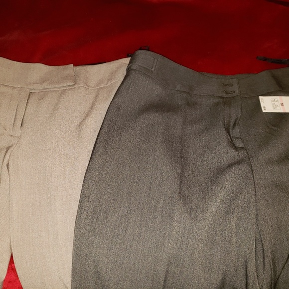 Women Dress Pants - Picture 4 of 4